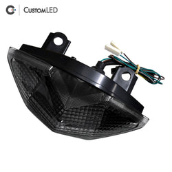 Kawasaki Z1000 Blaster-X Integrated LED Tail Light for years 2010 2011 2012 2013 by Custom LED - Smoked Lens