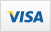 Visa payments accepted